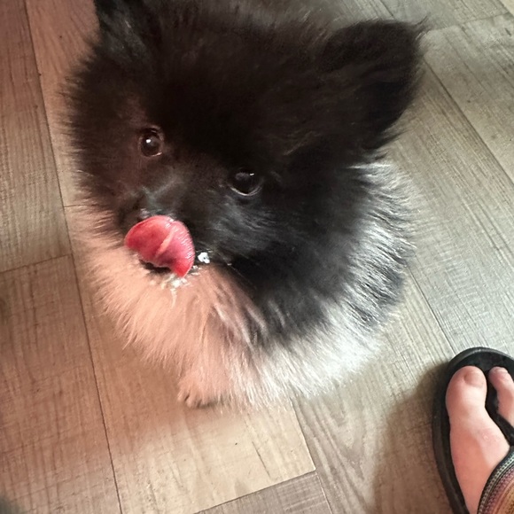 Meet your Posher, Heather - Picture 3 of 4